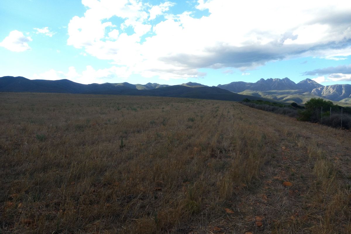 Scenic 102ha Farm with Home Near George - Photo 4
