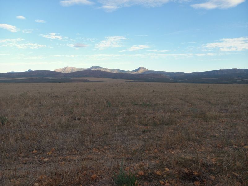 Scenic 102ha Farm with Home Near George - Photo 5
