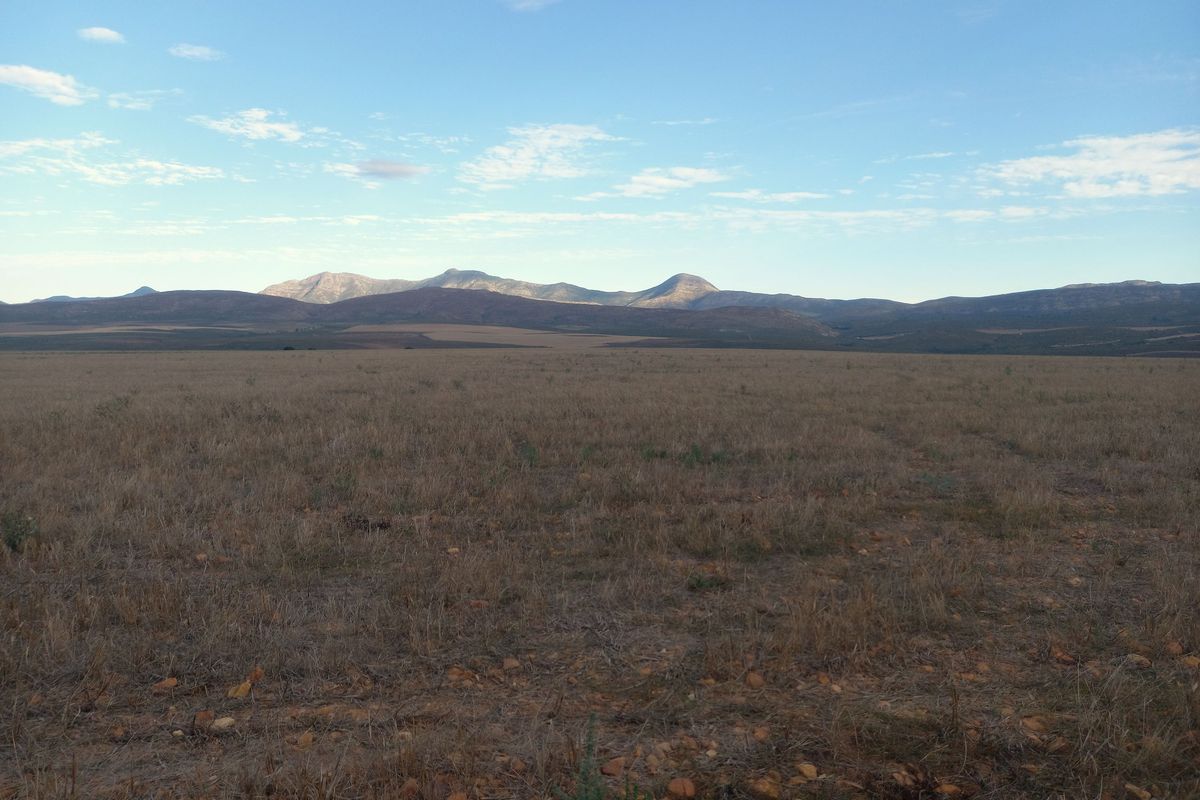 Scenic 102ha Farm with Home Near George - Photo 5