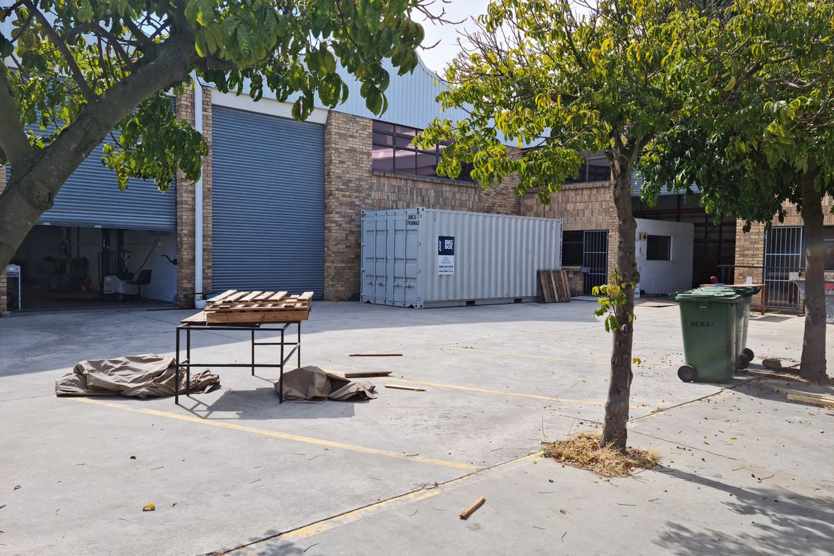 Industrial rear yard area featuring concrete paving, brick facade, and large roller shutter access doors for loading and logistics.
