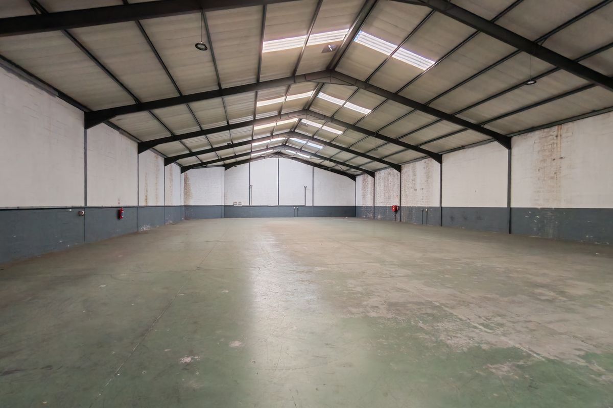 Spacious industrial warehouse featuring a high-clearance steel portal frame, concrete flooring, and natural light provided by integrated roof skylights.