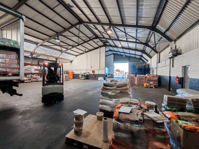 Spacious industrial warehouse facility featuring high-clearance steel portal frame construction, concrete flooring, and functional loading access.