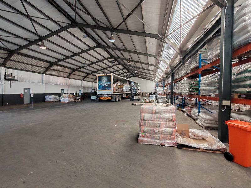 Spacious industrial warehouse featuring a steel portal frame structure, high-bay lighting, integrated skylights, and extensive heavy-duty pallet racking for efficient storage and logistics operations.