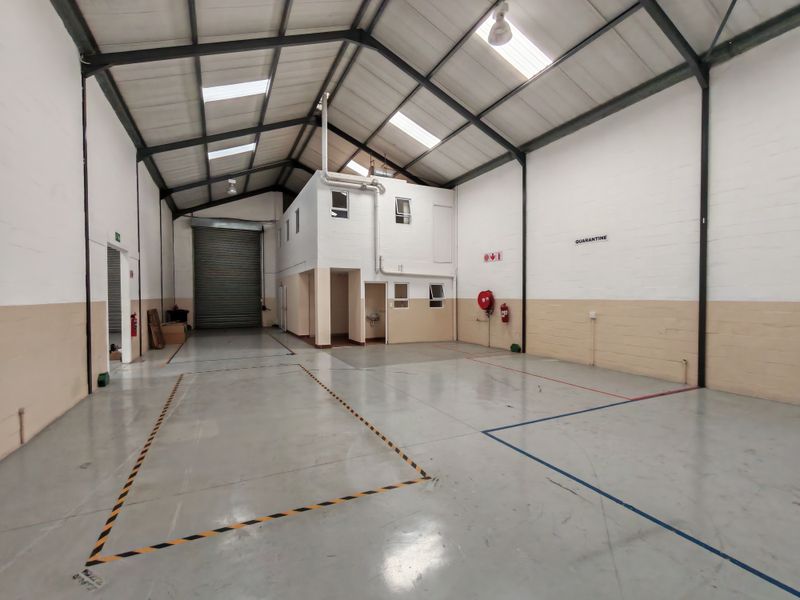 Spacious industrial warehouse unit featuring high ceilings with exposed steel trusses, skylights, epoxy flooring, a roller shutter door, and an internal mezzanine office area.
