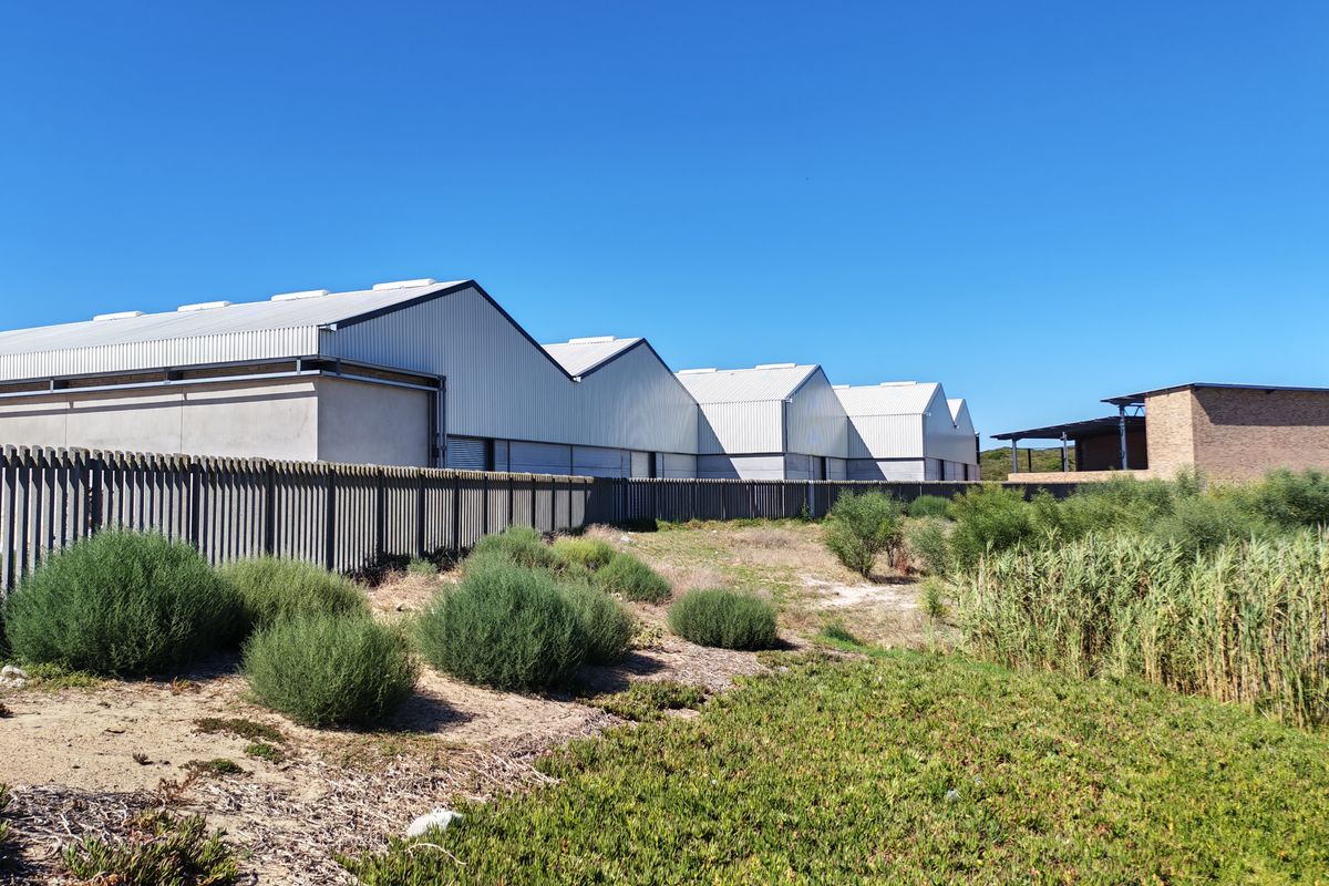 Exterior view of a series of industrial warehouse units featuring metal pitched roofs and a perimeter security fence.
