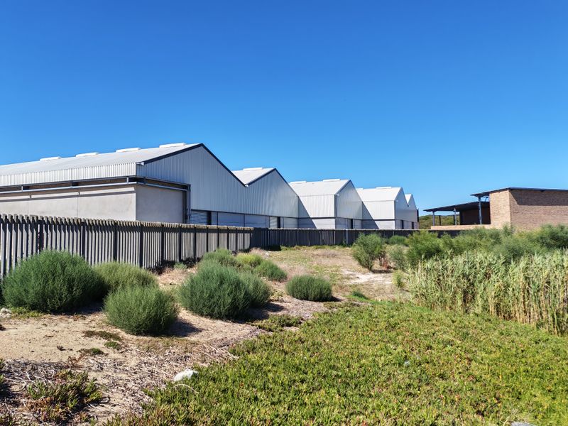 Modern 427m2 Warehouse For Sale in Firgrove Industrial Estate - Photo 6