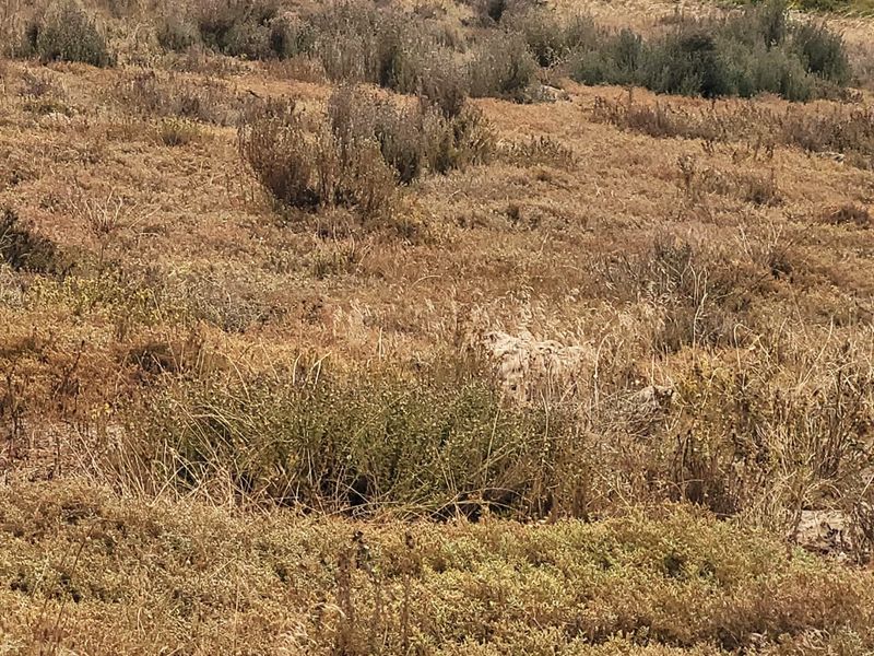 Prime Commercial Stand with Key Location Advantages! - Photo 4