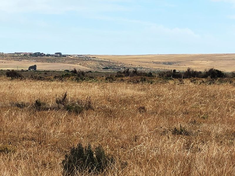 Prime Commercial Stand with Key Location Advantages! - Photo 3