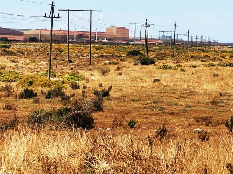 15 Privately-Owned, Fully Serviced & Zoned Industrial & Business Plots – Harbour View Development - Photo 10