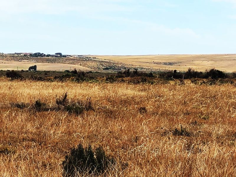 15 Privately-Owned, Fully Serviced & Zoned Industrial & Business Plots – Harbour View Development - Photo 9