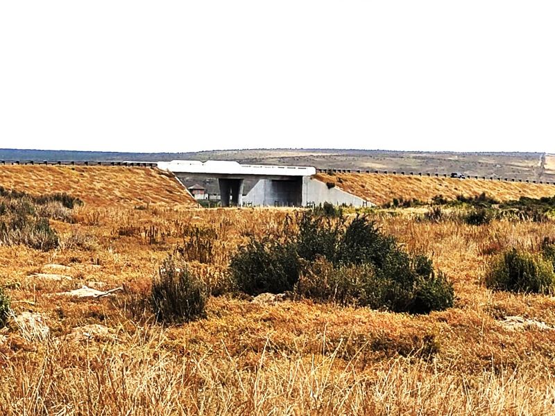 15 Privately-Owned, Fully Serviced & Zoned Industrial & Business Plots – Harbour View Development - Photo 6