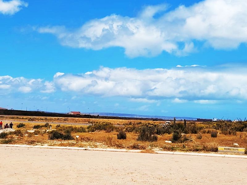 15 Privately-Owned, Fully Serviced & Zoned Industrial & Business Plots – Harbour View Development - Photo 5