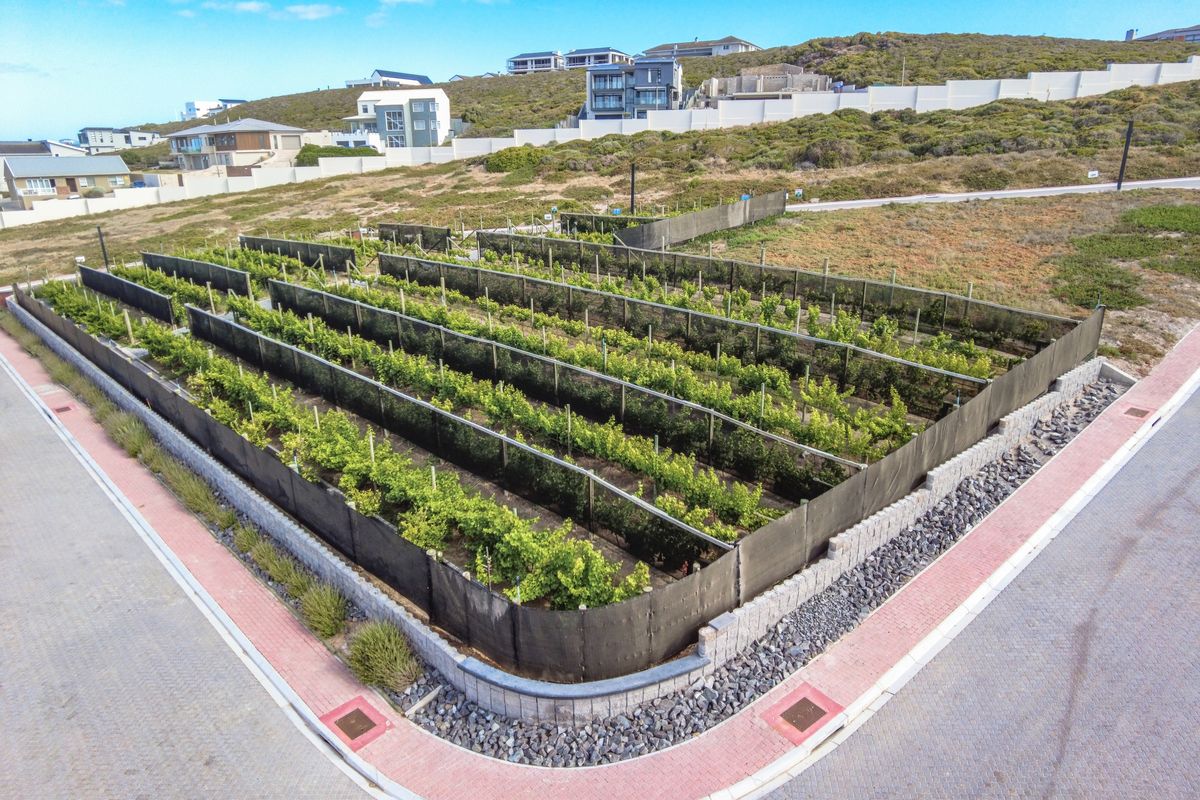 Vacant Land Residential For Sale In Yzerfontein - Photo 4