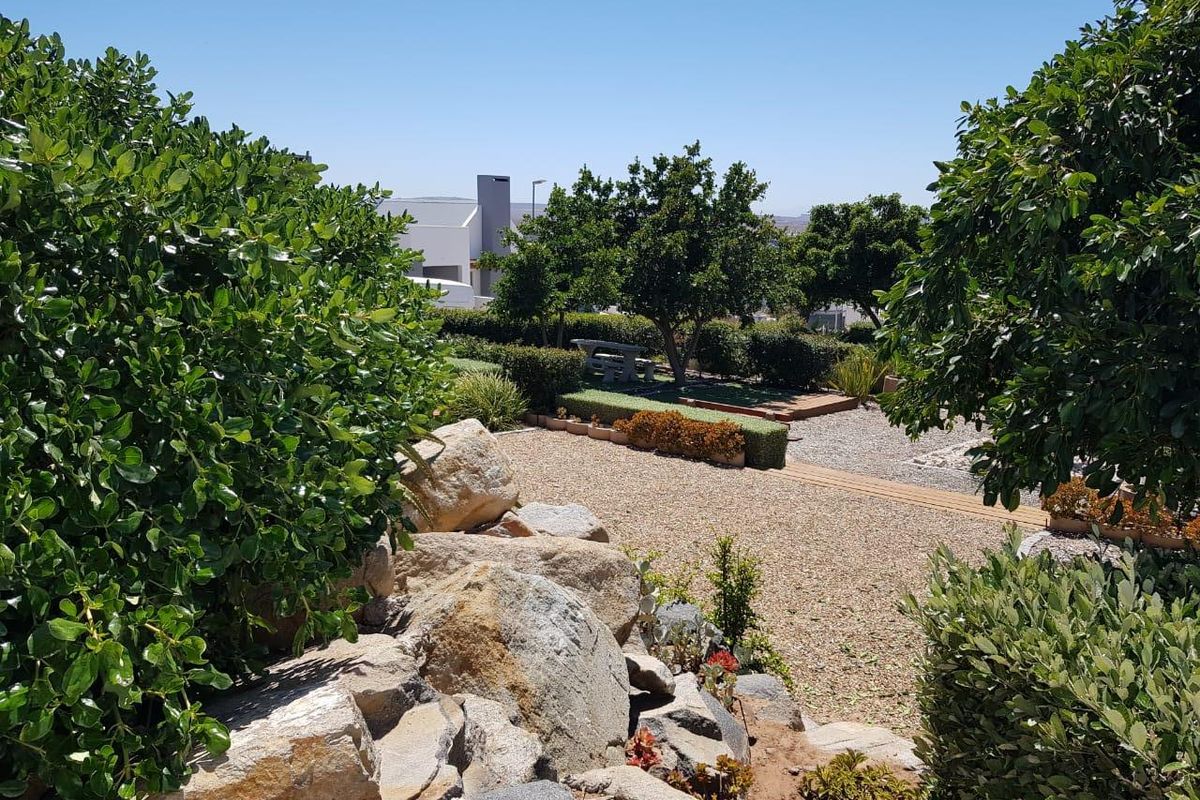 Stylish, Spacious, and Light: Single-Level Living in Welgedaan Estate - Photo 5