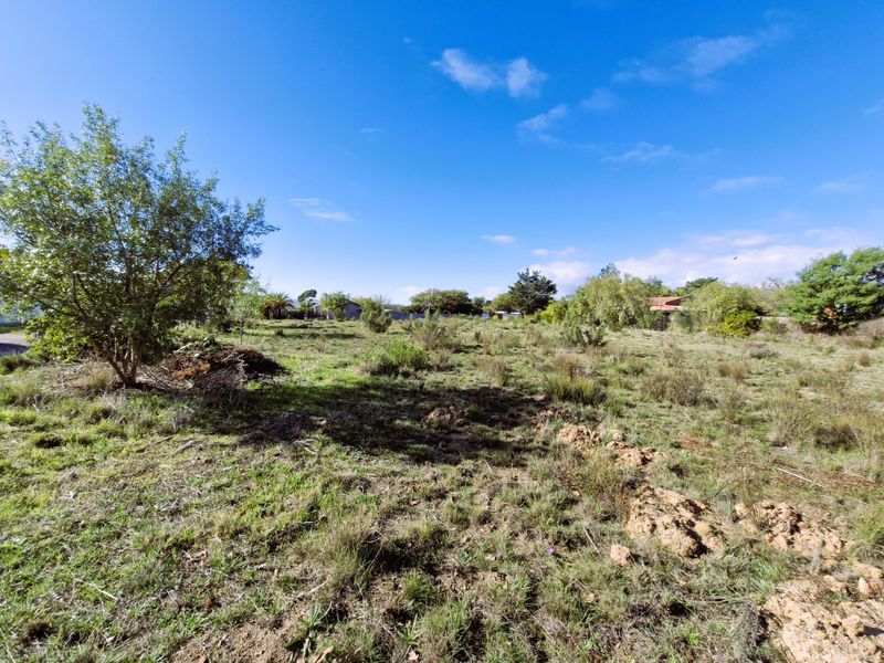 Spacious Corner Stand for Sale – Bot River Avenues - Photo 2