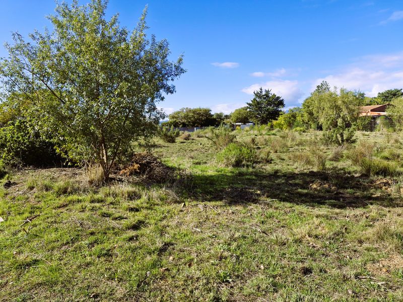 Spacious Corner Stand for Sale – Bot River Avenues - Photo 9