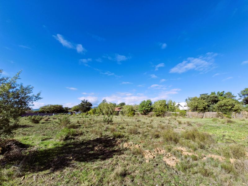 Spacious Corner Stand for Sale – Bot River Avenues - Photo 6