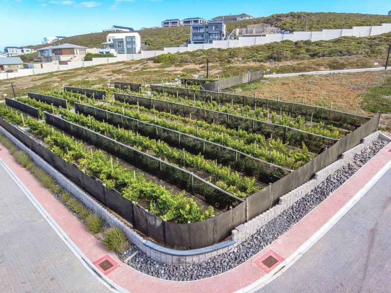 Vacant Land Residential For Sale In Yzerfontein - Photo 4