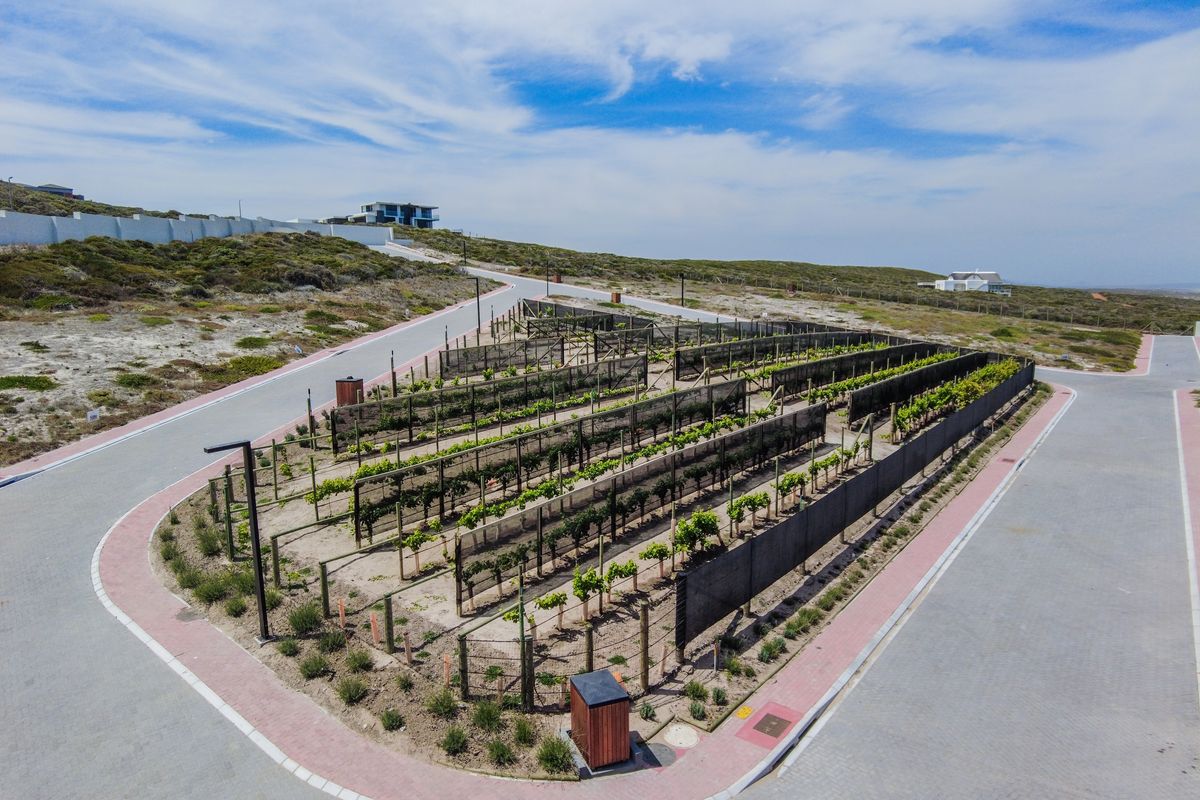 Vacant Land Residential For Sale In Yzerfontein - Photo 4