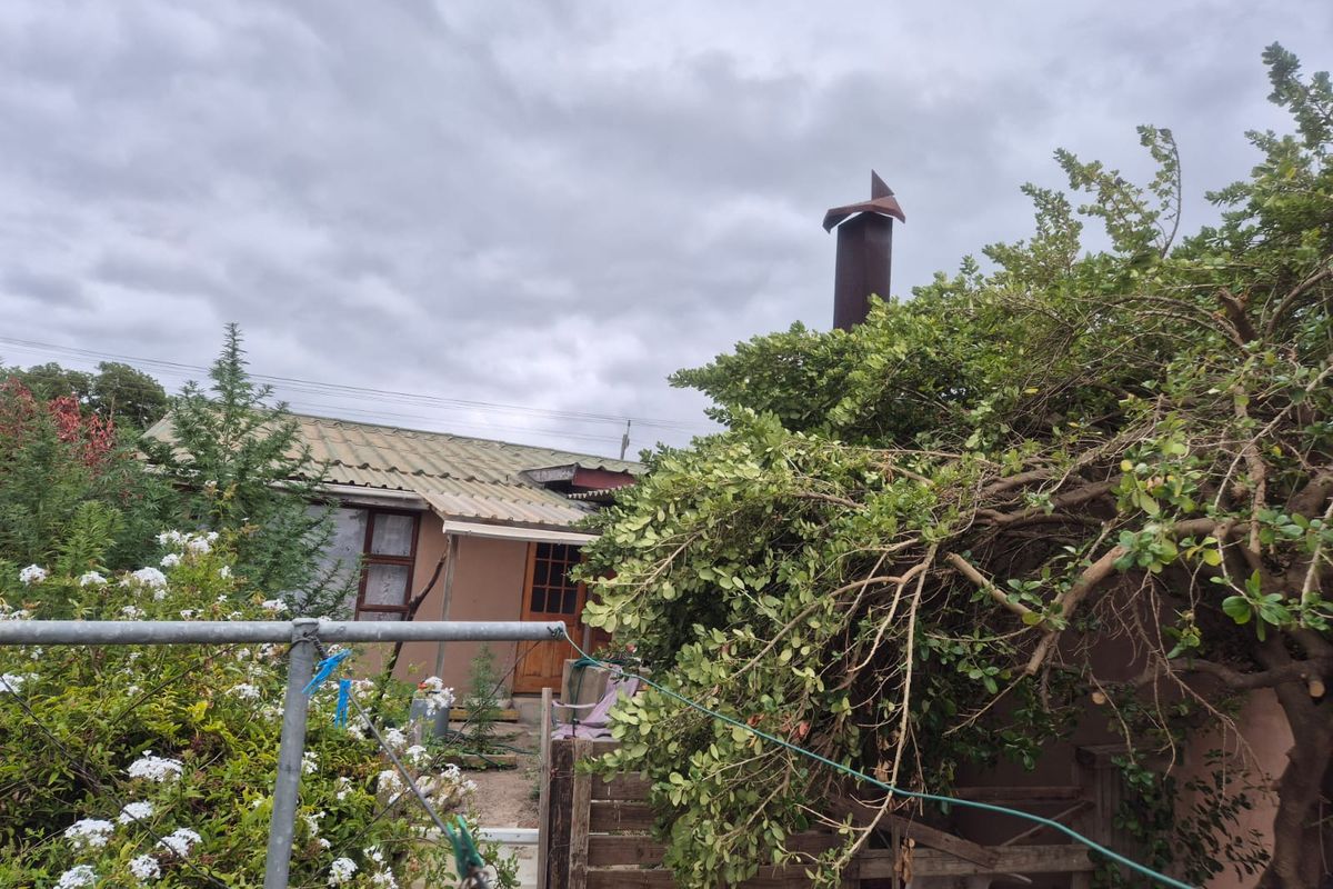 Rear view of the property showing a weathered exterior facade, metal roof sheeting, and a prominent chimney flue surrounded by overgrown garden foliage.
