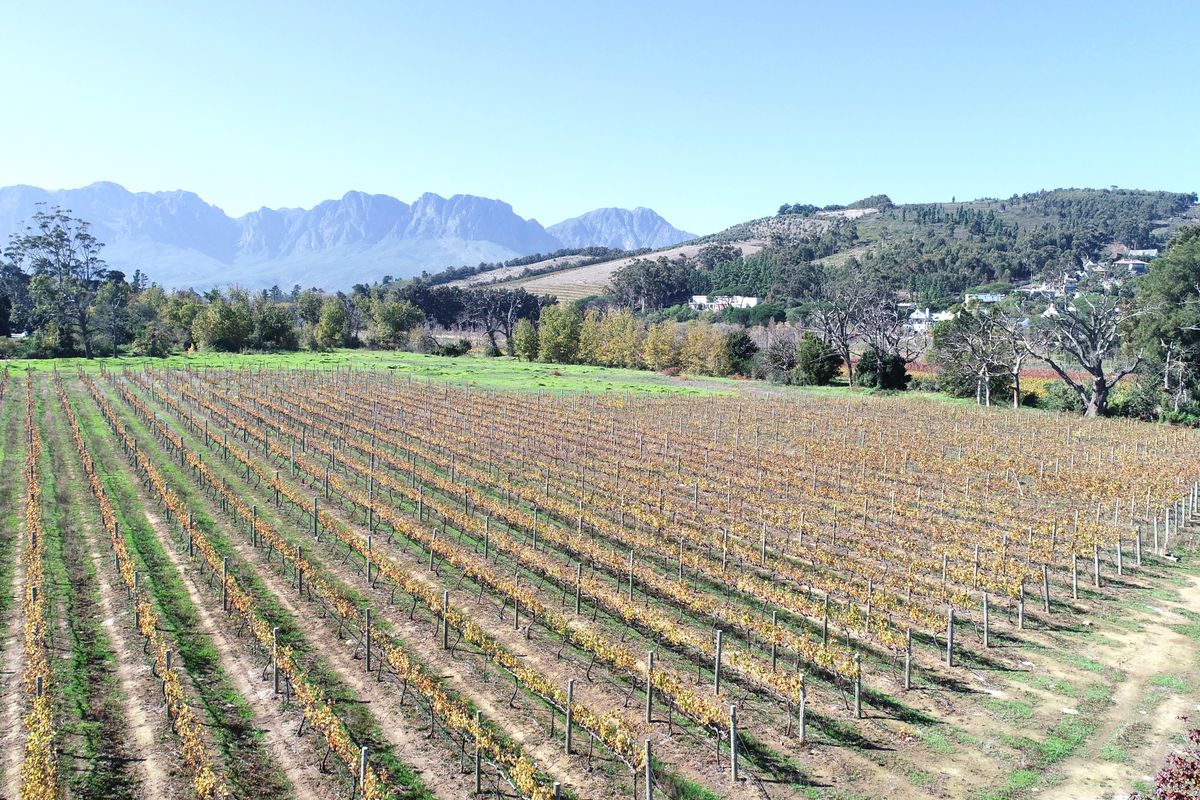 Historical Wine Farm - Unique Location and Lifestyle - Photo 4