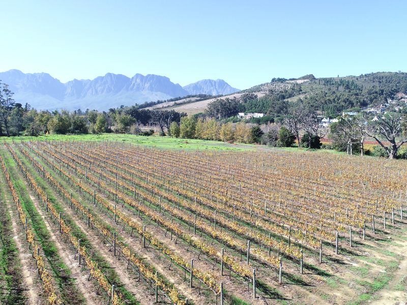 Historical Wine Farm - Unique Location and Lifestyle - Photo 4