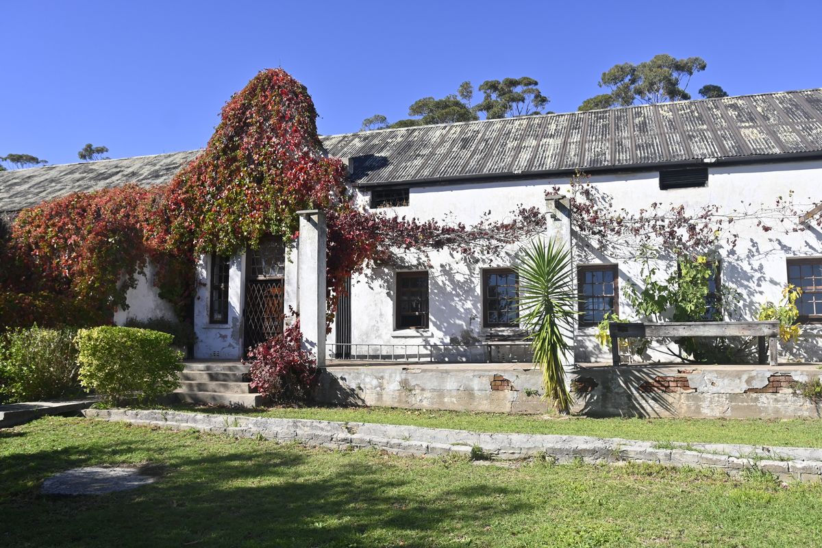 Exterior view of a rustic farm building featuring a covered patio, stone retaining wall, and climbing ivy on the white plastered facade.