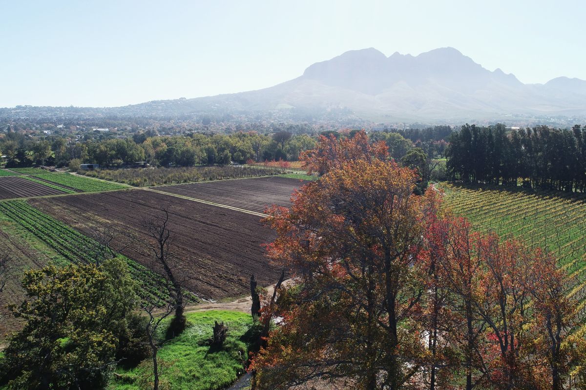 Historical Wine Farm - Unique Location and Lifestyle - Photo 5