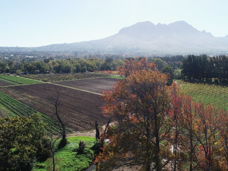 Historical Wine Farm - Unique Location and Lifestyle - Photo 5