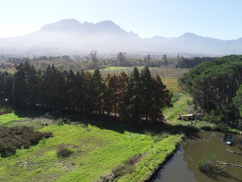 Historical Wine Farm - Unique Location and Lifestyle - Photo 10