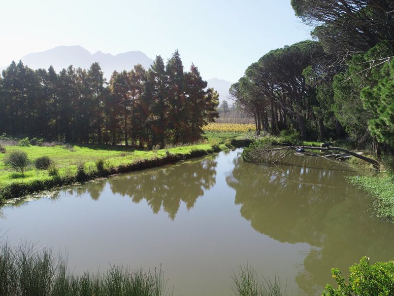 Historical Wine Farm - Unique Location and Lifestyle - Photo 9