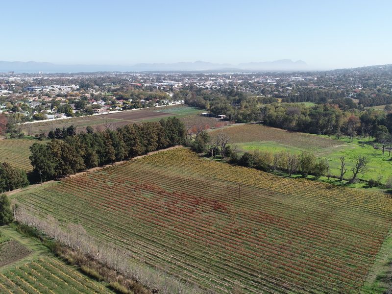 Historical Wine Farm - Unique Location and Lifestyle - Photo 7