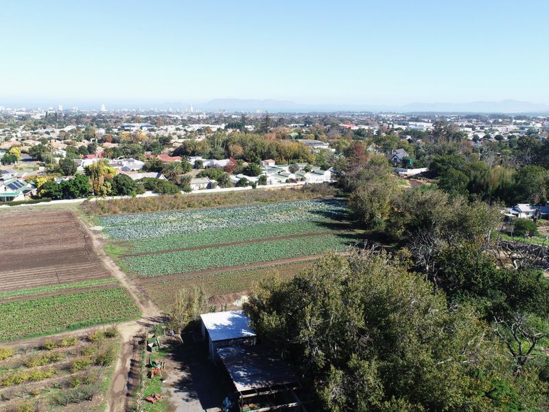 Historical Wine Farm - Unique Location and Lifestyle - Photo 8