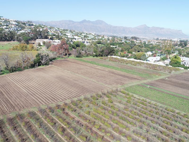 Historical Wine Farm - Unique Location and Lifestyle - Photo 6