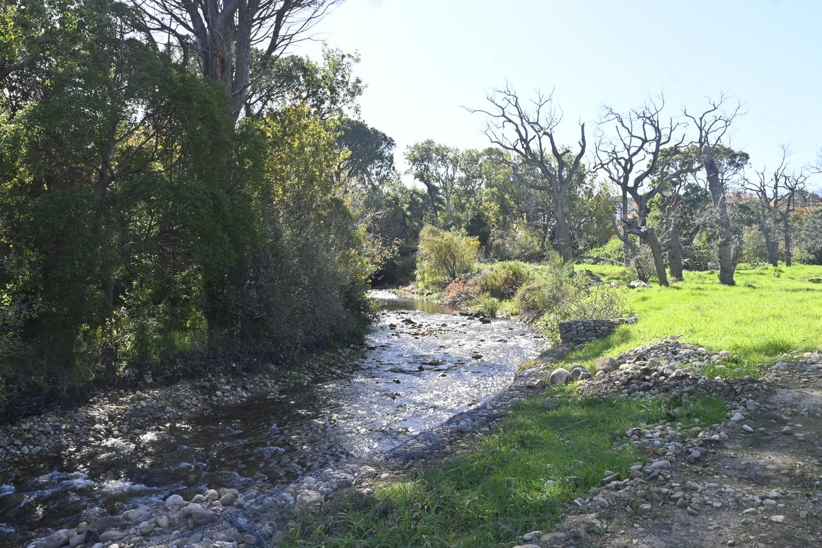 Historical Wine Farm - Unique Location and Lifestyle - Photo 2