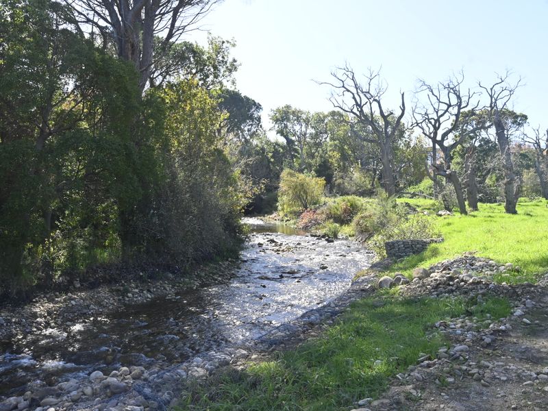 Historical Wine Farm - Unique Location and Lifestyle - Photo 2