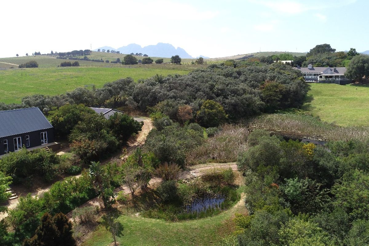 3.1 ha Smallholding - A True Botanical Haven - Photo 4