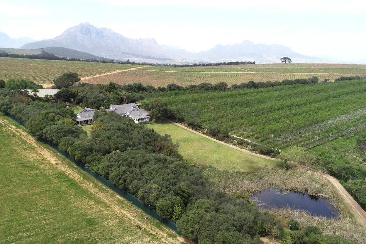 3.1 ha Smallholding - A True Botanical Haven - Photo 3