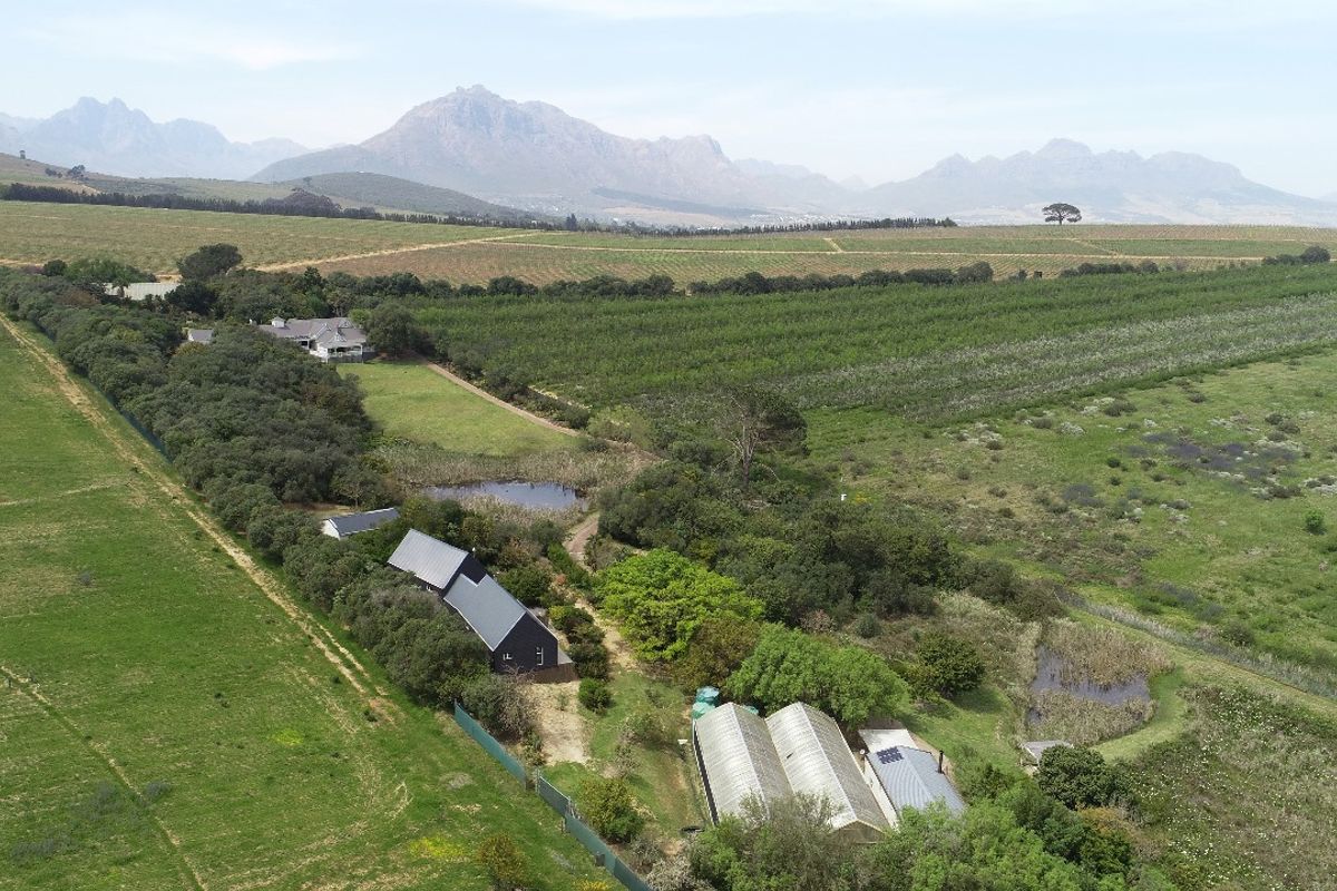 3.1 ha Smallholding - A True Botanical Haven - Photo 5