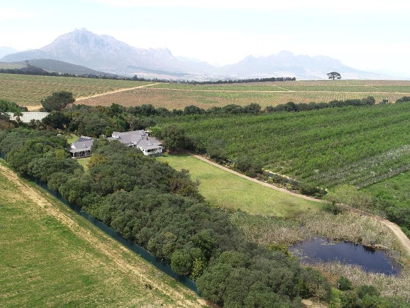 Aerial view of the small holding featuring extensive orchards, vineyards, a farm dam, and mountain views in the distance.