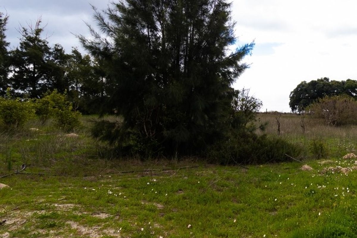 An open, undeveloped area of the small holding featuring natural grassland and mature trees under a cloudy sky.