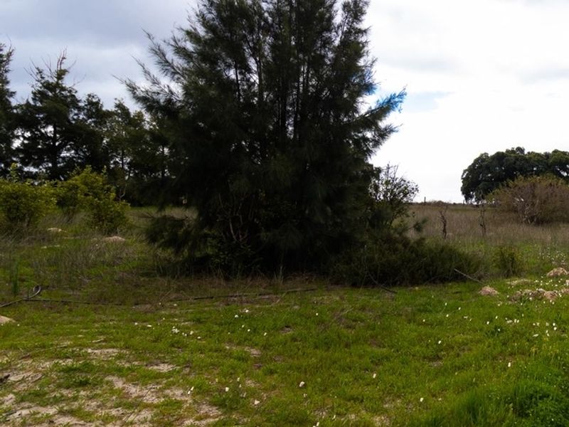 An open, undeveloped area of the small holding featuring natural grassland and mature trees under a cloudy sky.
