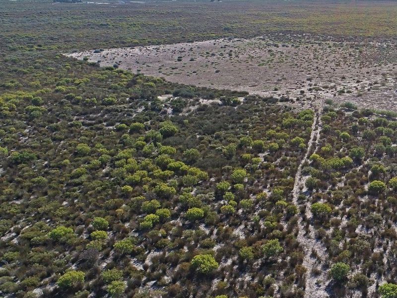 An aerial view of the expansive natural landscape featuring native vegetation and a dirt track running through the property.