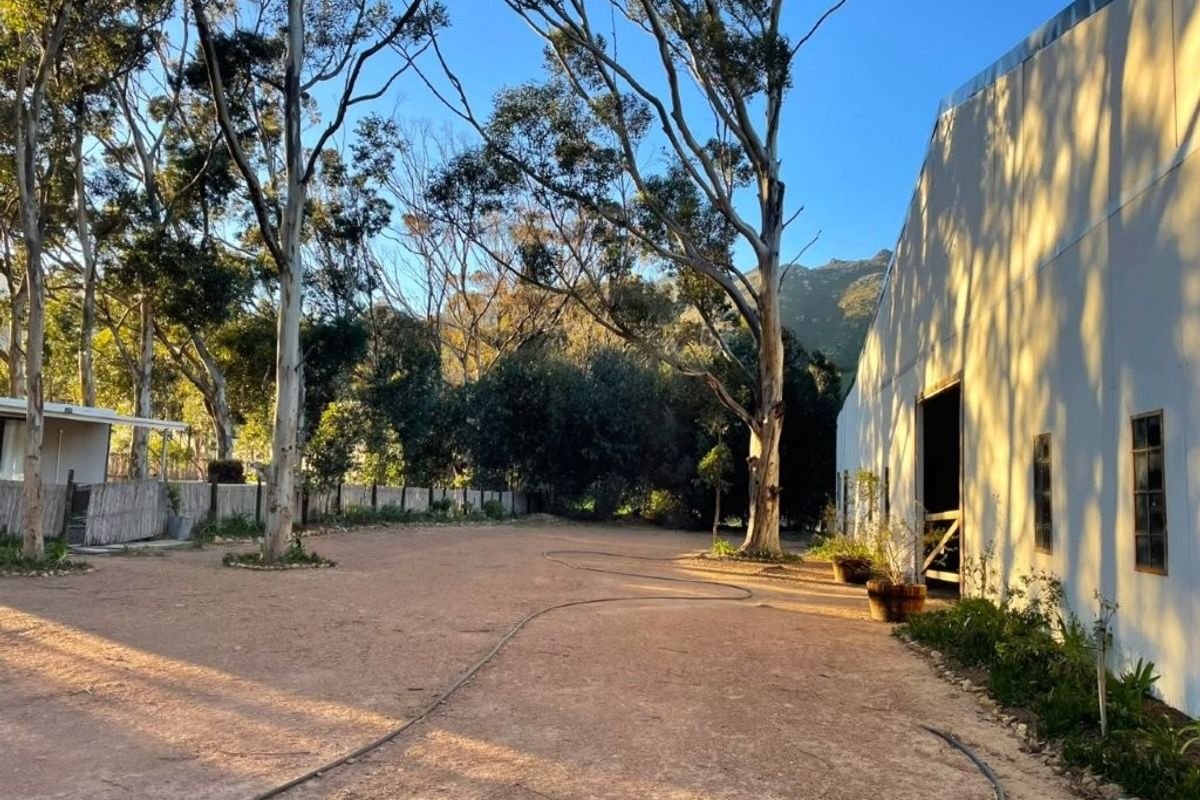 A spacious outdoor area featuring a large barn structure, mature trees, and a gravel driveway, set within a natural, rural landscape.