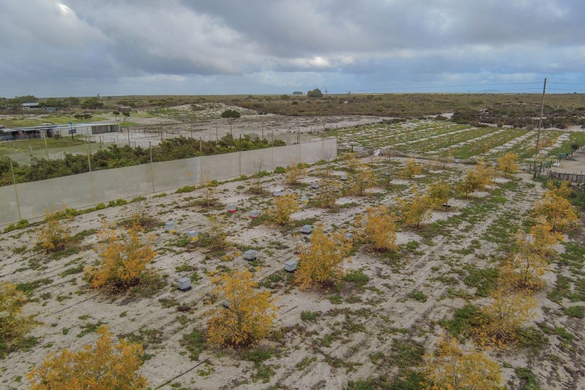 Hartebeesfontein - Photo 5