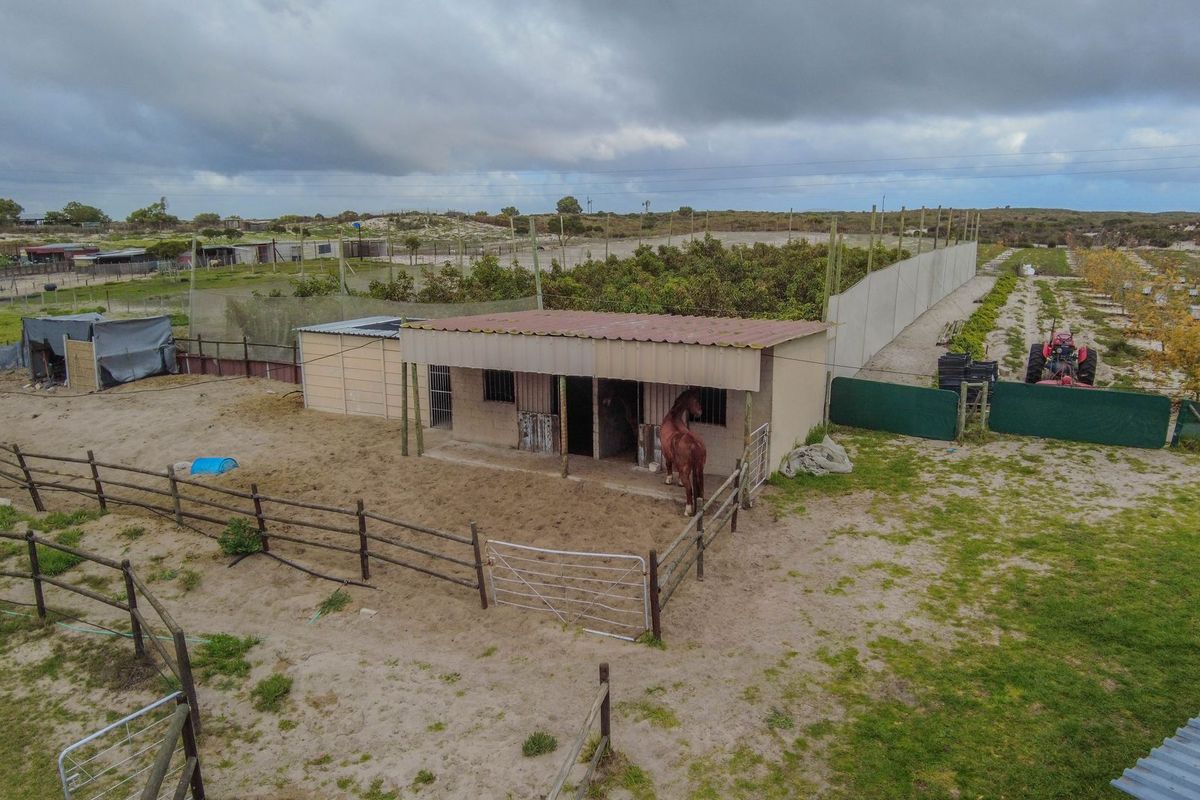 Hartebeesfontein - Photo 3