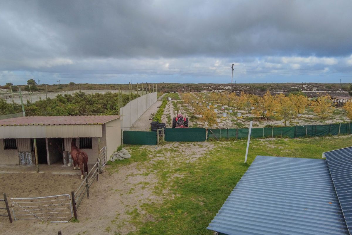 Hartebeesfontein - Photo 4