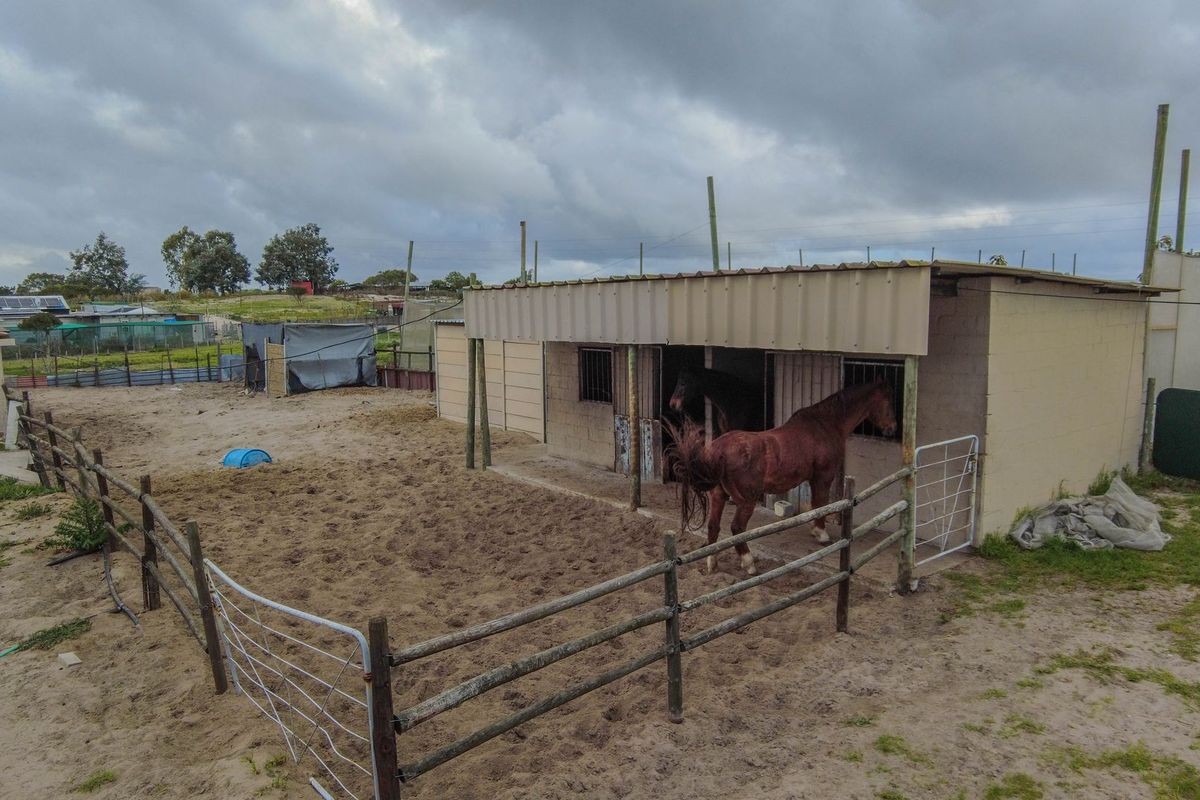 Outdoor stable area featuring concrete block construction, corrugated metal roofing, and timber post and rail fencing on a small holding property.