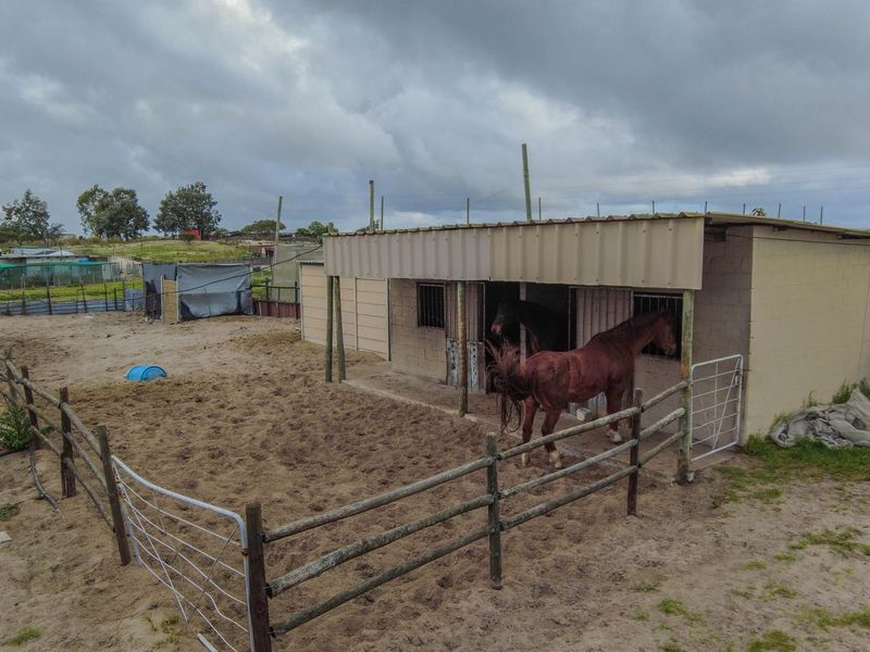 Outdoor stable area featuring concrete block construction, corrugated metal roofing, and timber post and rail fencing on a small holding property.