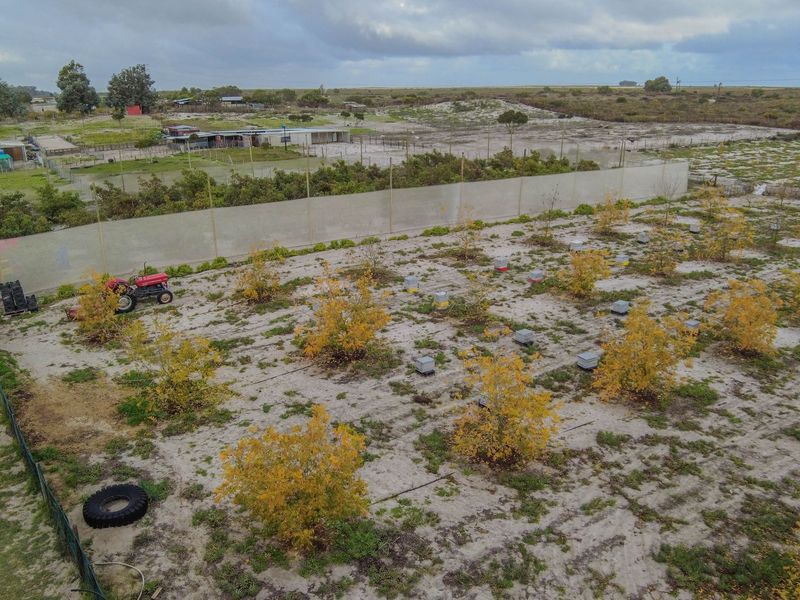 Aerial view of a small holding plot featuring a fenced perimeter, young orchard trees, and an installed irrigation system on sandy soil.